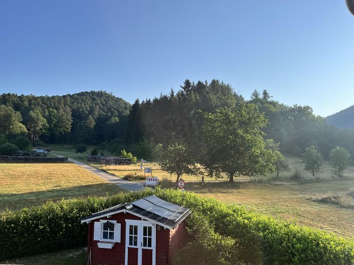 Blick in den Garten 