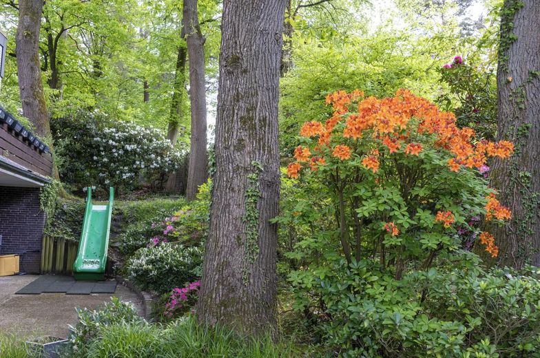 Großzügiges Einfamilienhaus in bester Lage mit tollem Garten – Terrasse UG+Garten