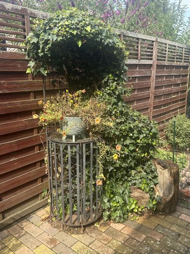 Einfamilienhaus – Foto 6