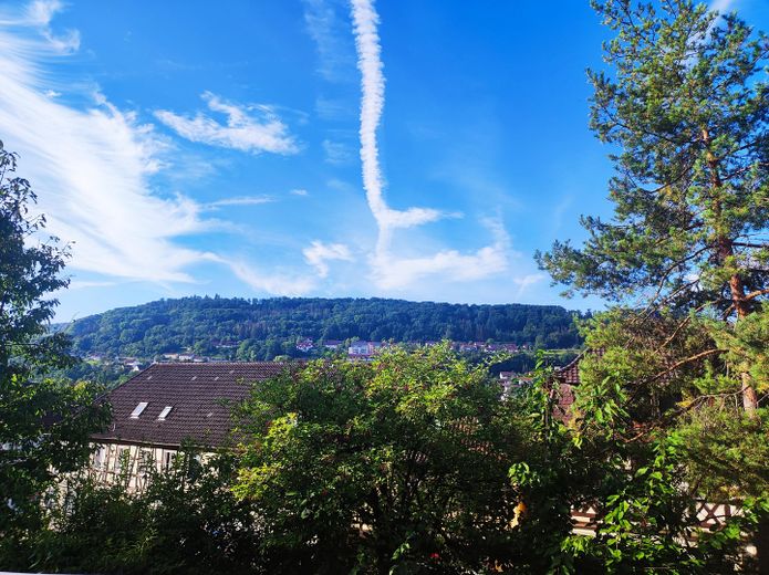 Aussicht vom Balkon