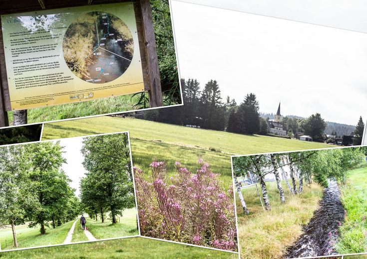 Wolnostojący dom jednorodzinny w idyllicznej lokalizacji – Foto 24