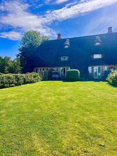 Garten - Terrasse Nord