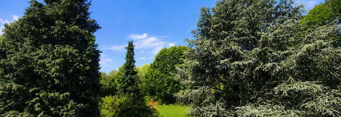 Трёхкомнатная квартира мечты в Кёльне-Цюндорфе | 67 м² | лоджия | без маклера – Gartenblick von Balkon