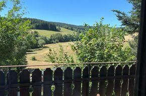 Ein-/ Zweifamilienhaus – Aussicht Balkon EG