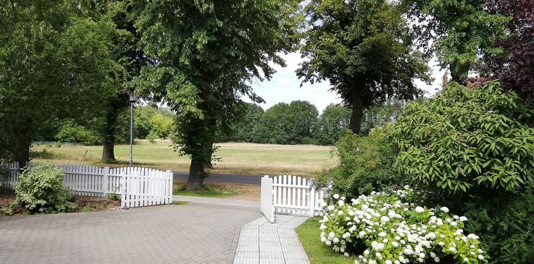 Stilvolles Einfamilienhaus mit großem Grundstück und vielseitigen Nutzungsmöglichkeiten – Einfahrt