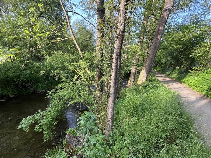 An der Körsch