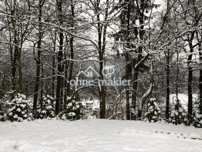 Casa vacanze nell'Harz investimento di capitale / immobile a reddito sauna – Foto 1
