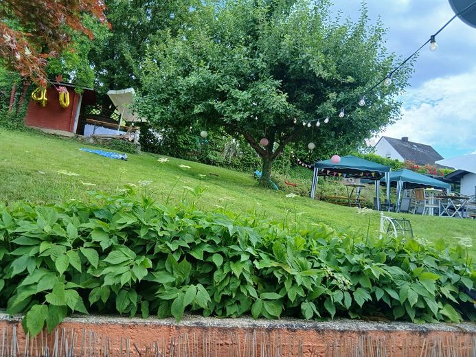 Tolle Immobilie im Landhausstil in Enkirch an der Mosel - Wohnen & Vermieten unter einem Dach – Foto 23