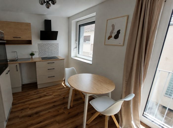Hochwertiges Studio-Apartment in Mannheim Neckarstadt-West, vollmöbliert – Küche 1