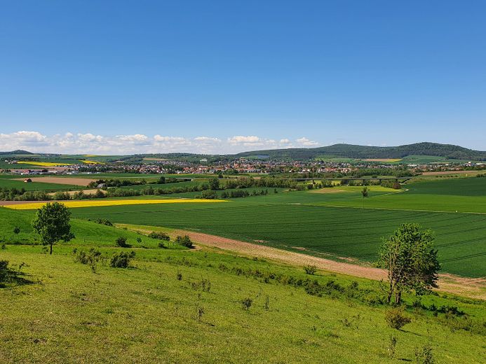 Baugrundstücke im Neubaugebiet Offenbergblick! Keine Provision! Kein Bauzwang! – Blick vom Offenberg im Mai