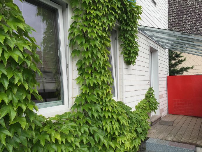 Hübsches, möbliertes Apartment in BH-Schlewecke mit Dampfbad – Eingang mit Freisitz