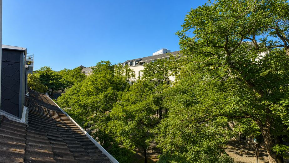 Keyifli 42 m² – merkezi konumda 2 odalı çatı katı dairesi – Blick ins Grüne zur Wörthstr.