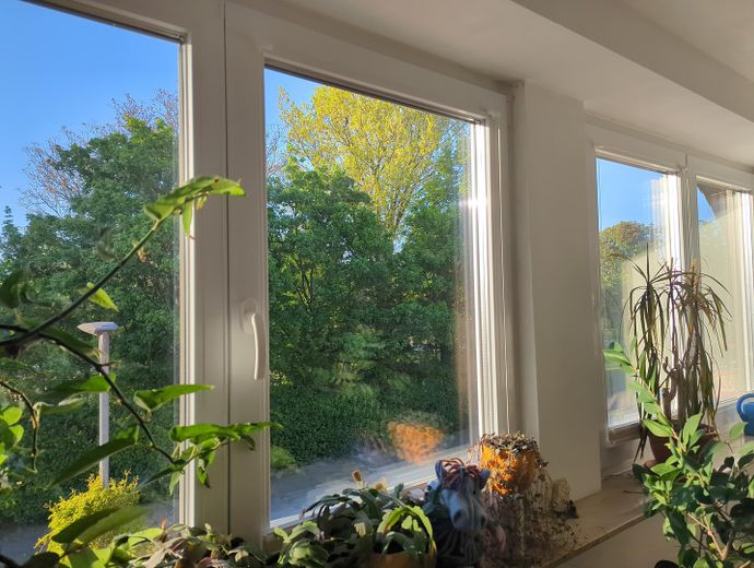 Energieeffizientes Einfamilienhaus - biologisch saniert und einzugsfertig – Blick in den Park