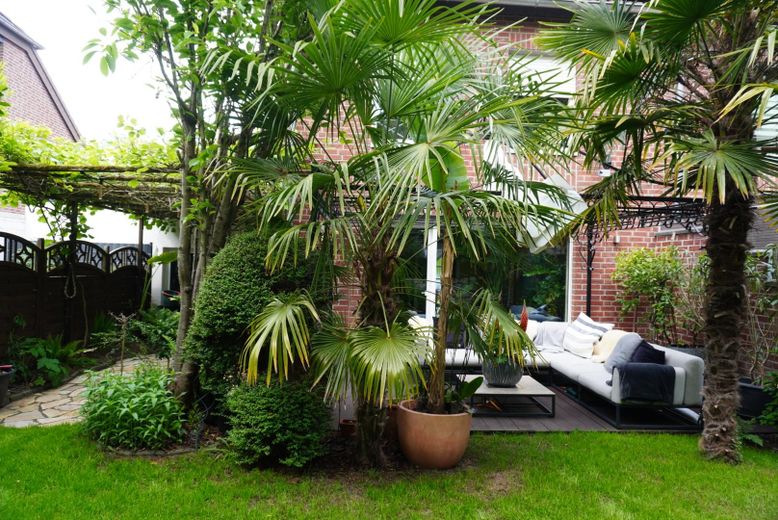 Reihenhaus, mit Doppelgarage, PV-Anlage, Speicher – Ansicht Garten Südseite