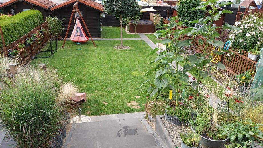 Blick von Terasse in Garten