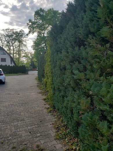 Ausfahrt vom Grundstück