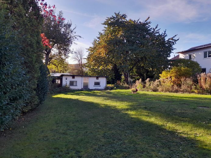 8-Zi.-Wohnhaus mit schönem Garten (1.400 qm) in Marburg-Schröck, courtagefrei – Ehem. Hundezwinger/Kirschbaum