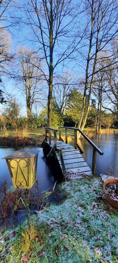 Brücke über den Teich