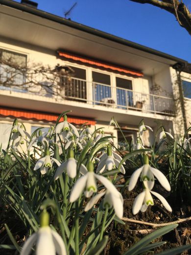 Blick aus Garten auf Balkon