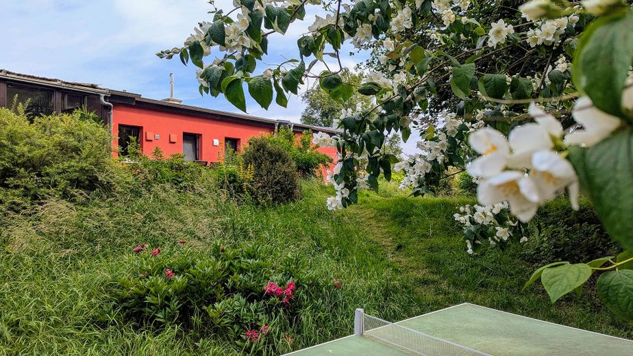 290 m² + 2.464 m² Naturidyll | Pool & Gartensauna | Aartalblick | Mehrgenerationen o. Vermietung – Westseite Garten