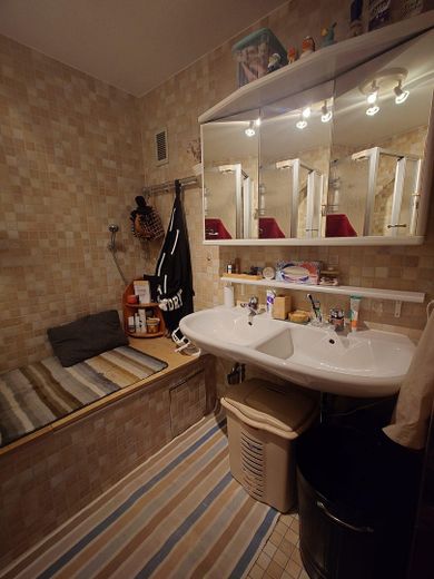 3,5 Zimmer Wohnung, hell, gut geschnitten mit 2 Balkonen und TG – Badezimmer