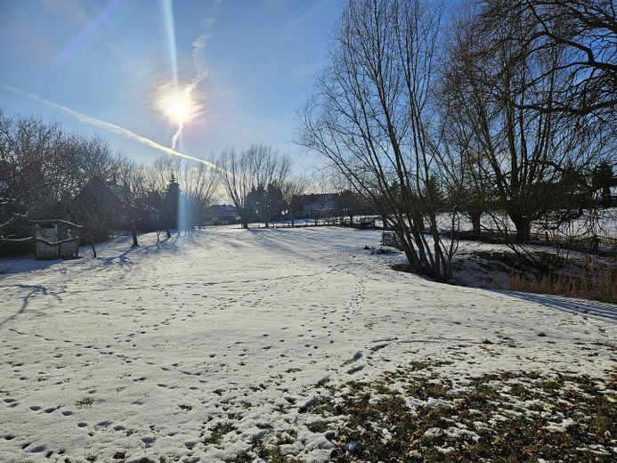 Landhaus unweit von Schwerin - Nachlaß bei zügiger Übernahme – Die Weide im Winter