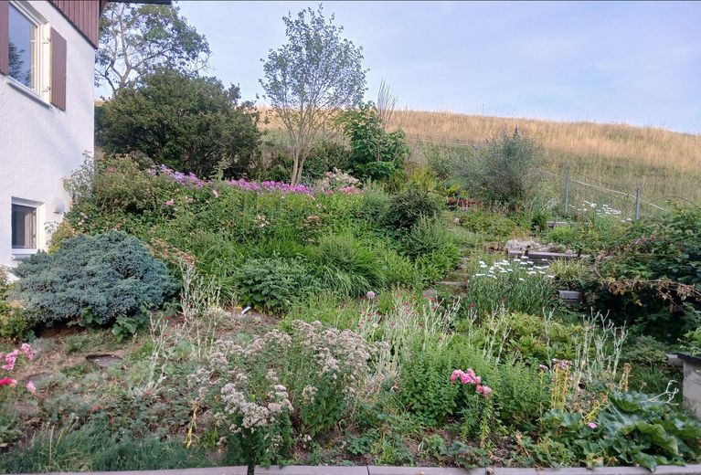 Besser leben im Allgäu – Gemeinschaftsgarten SÜD-WEST