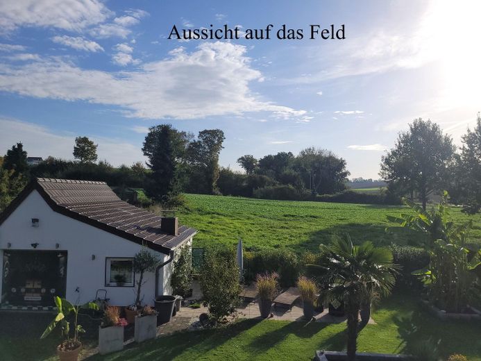 Ansicht auf das Feld