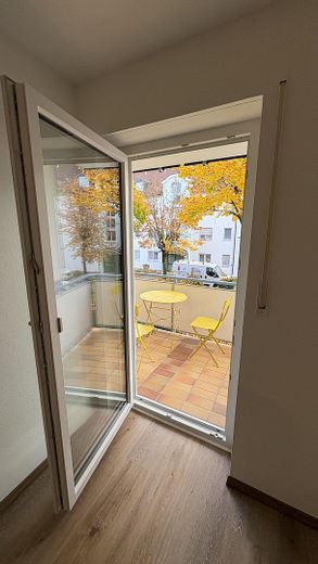 Neue Balkontür - 3-fach-vergl.