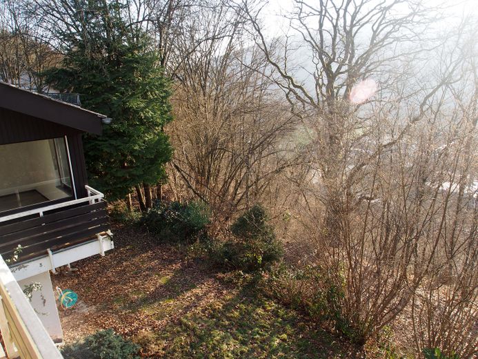 Blick zur Terrasse / Garten