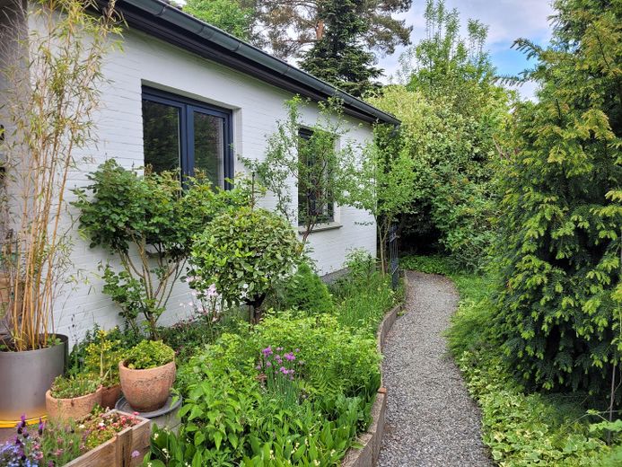 Weg zum hinteren Garten
