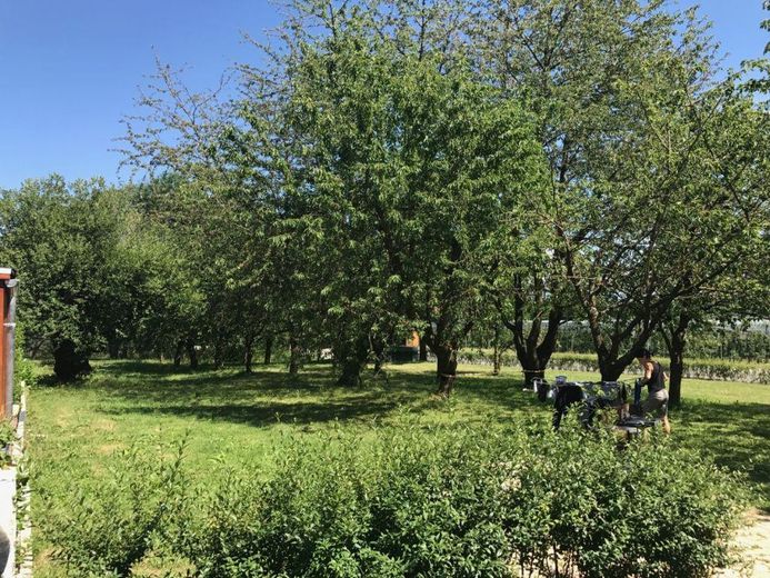 Apartament zamkowy nad Jeziorem Bodeńskim – osobne wejście, szybki internet do pracy z domu, dostępny od zaraz – Kirschbaumgarten 