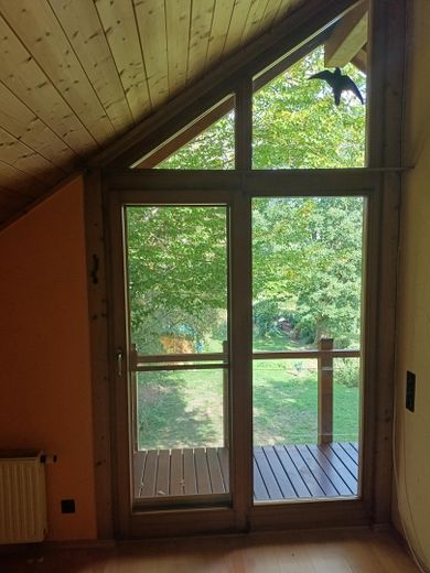 Einzigartiges Holzhaus im Grünen in Randlage und doch zentral – Foto 20
