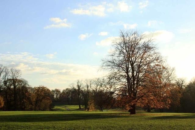 Wohnerlebnis am Jenischpark: traumhafte Erdgeschoßwohnung mit eigenem Garten von Privat – Jenischpark