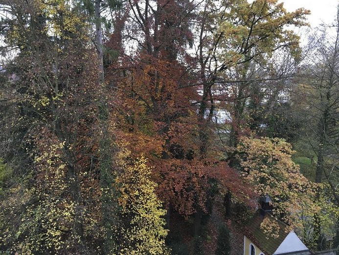 Am Klostergarten: Stadtjuwel in Landshut, Dachgeschoss, absolut ruhig, sonnig, Blick ins Grüne, zentral – Foto 14