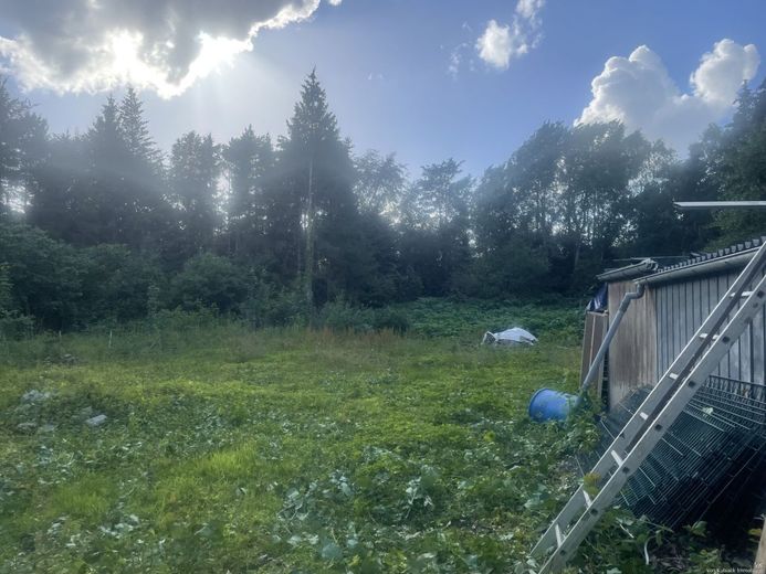 Investoren aufgepasst: Exklusive Kapitalanlage in Quickborn -MFH mit 4.386 m² Grundstück – Hinterer Bereich und Schuppen