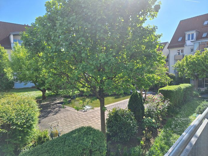 Blick in den Garten