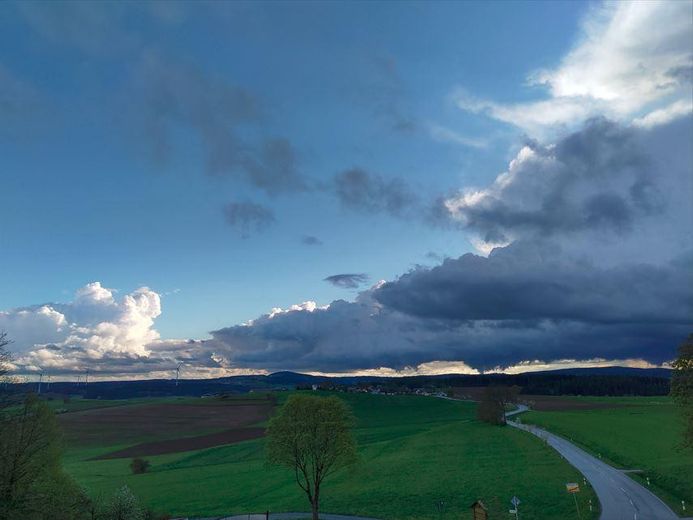 Idyllisch Wohnen - freier Blick ins Grüne und viel Raum für Gestaltung und Freizeit – Ausblick nach West
