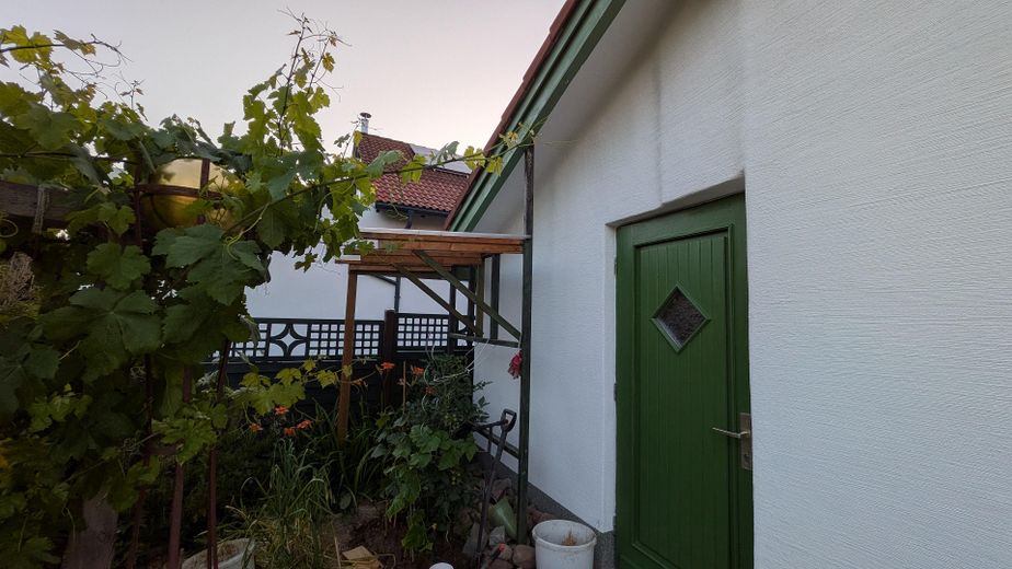 Baubiologischer, moderner Wohntraum in Top-Lage  · Chemnitz - Glösa-Draisdorf – Ansicht Garten