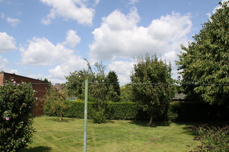 Garten mit Obstbäumen