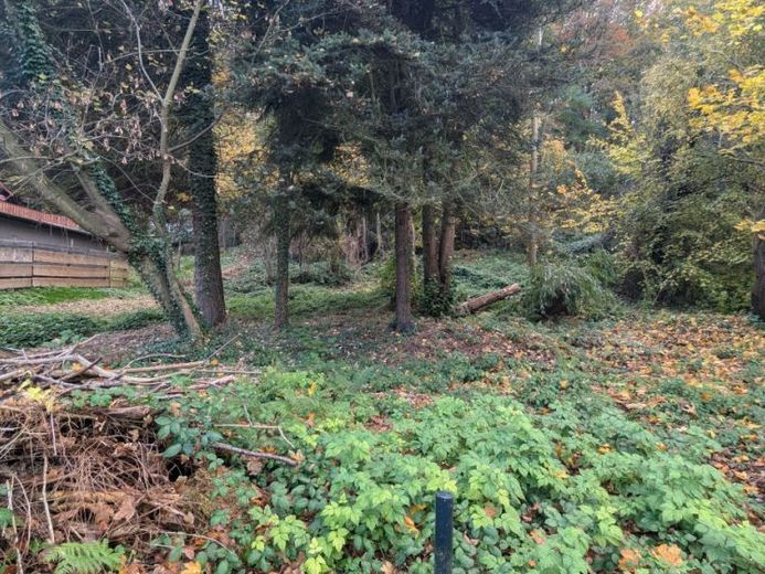Kleines Baugrundstück am Elberadweg in Pirna – Foto 1