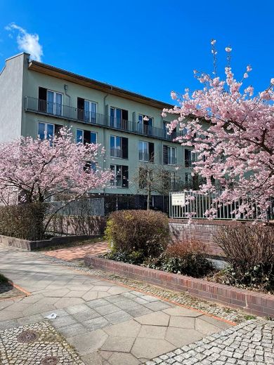 Renovierte 2 Zimmer Wohnung mit Loftfeeling in Pankow / Französisch Buchholz – Anlage Straßenansicht