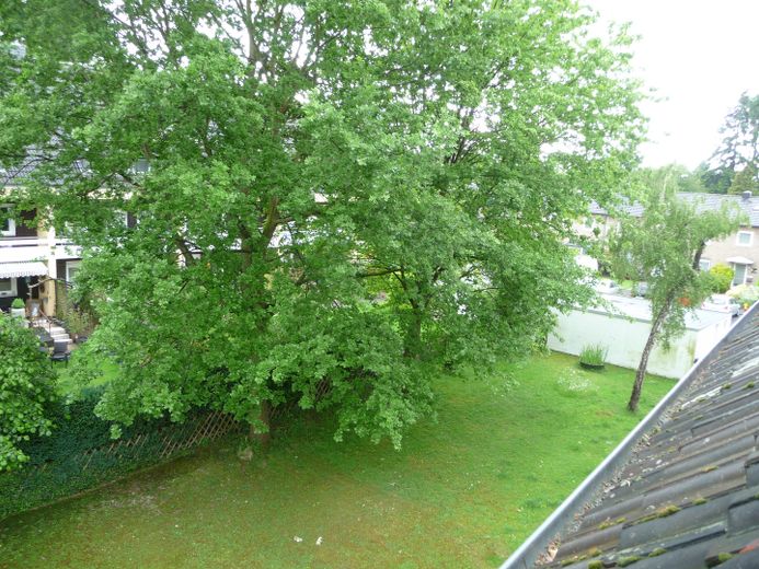 Blick aus SZ nach rechts