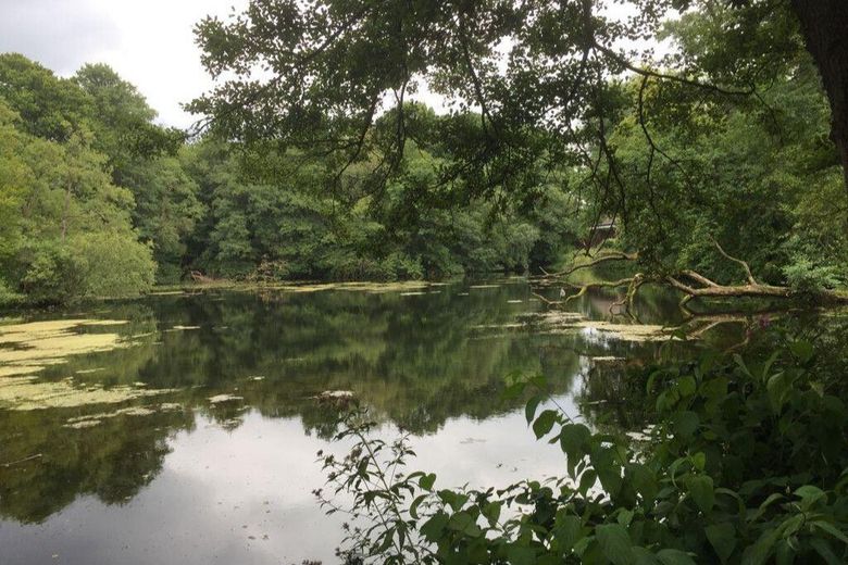 Erfüllen Sie sich den Traum vom Leben im Grünen - auf einem weitläufigen Anwesen – Seeblick
