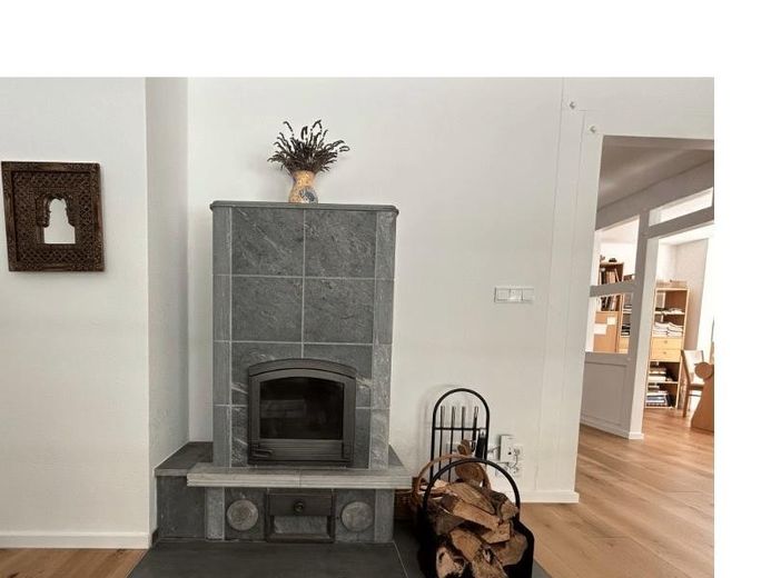 Tulikivi-Speckstein-Kaminofen