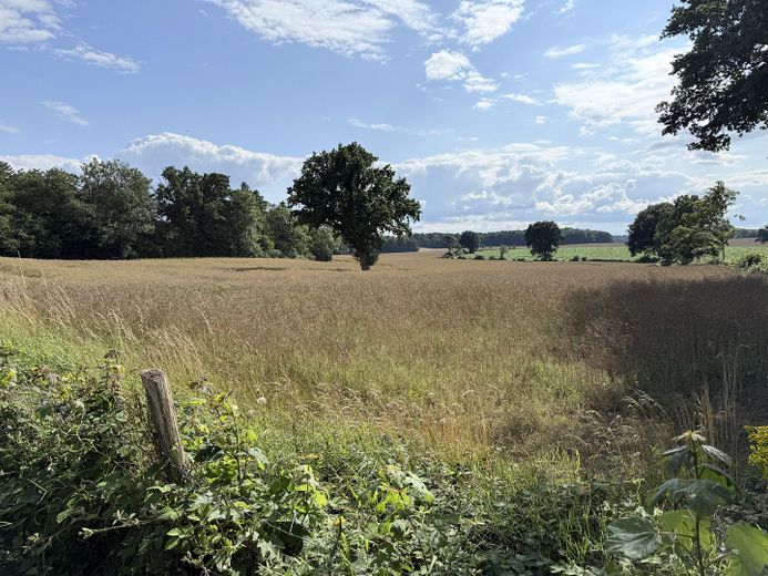 Naheliegende Natur