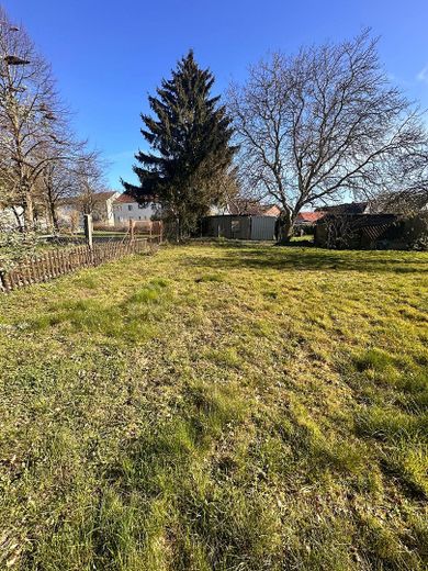 Blick über das Grundstück 2