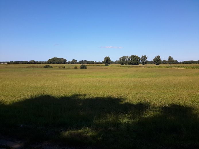 Baugrundstück auf der Insel Rügen – gg.über Wiesenlandschaft 