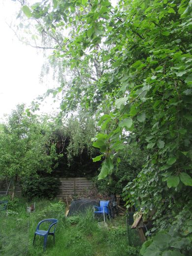 hintere Gartenteil