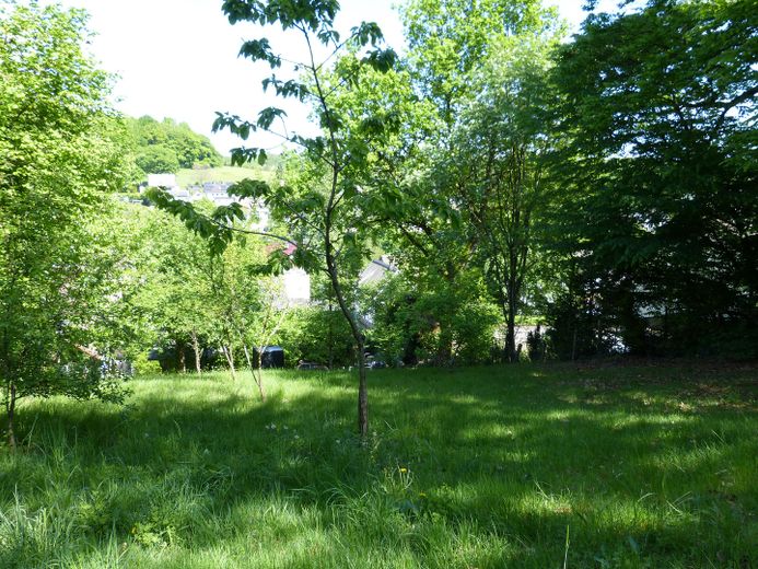 Grundstück 1535m²